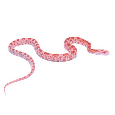 Lavamel Masque Corn Snake